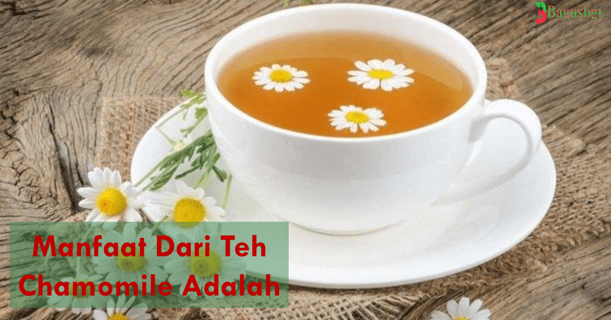 Manfaat Dari Teh Chamomile Adalah