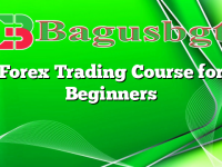 Forex Trading Course for Beginners