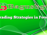 Trading Strategies in Forex