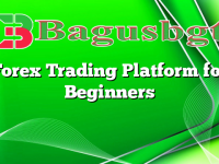 Forex Trading Platform for Beginners