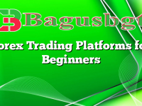 Forex Trading Platforms for Beginners