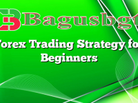 Forex Trading Strategy for Beginners