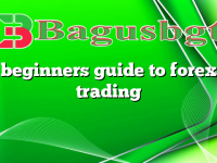 beginners guide to forex trading